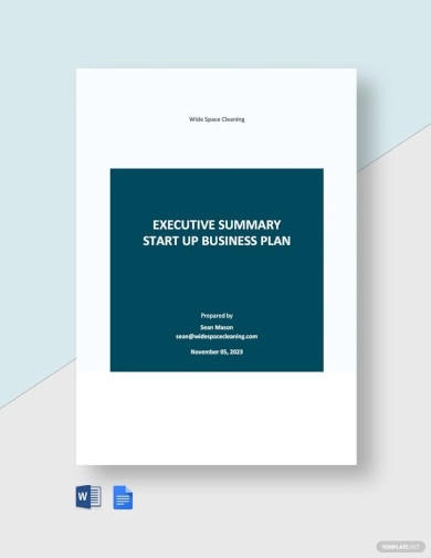 Executive Summary Startup Business Plan Template