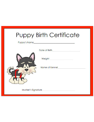 Puppy Birth Certificate