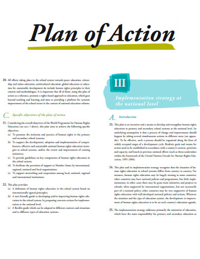 Sample Plan of Action