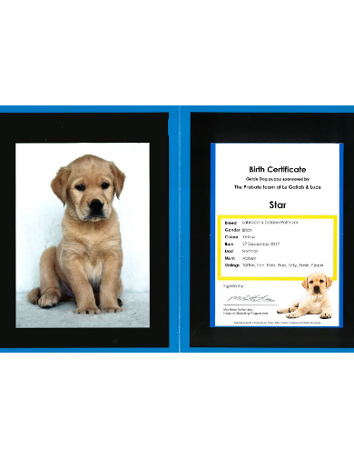 Star Photo Dog Birth Certificate
