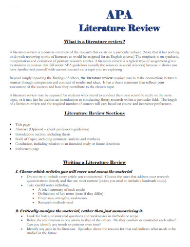 APA Literature Review Outline