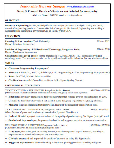 Editable Internship Resume