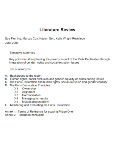 Formal Literature Review Outline