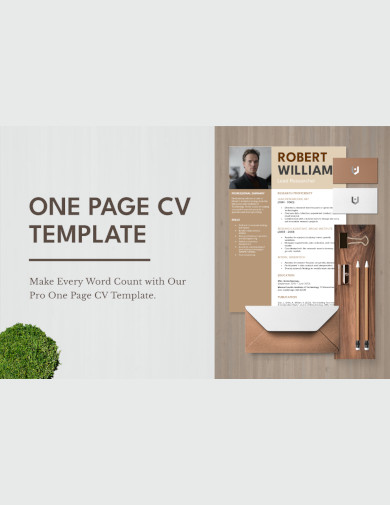One Page CV Format