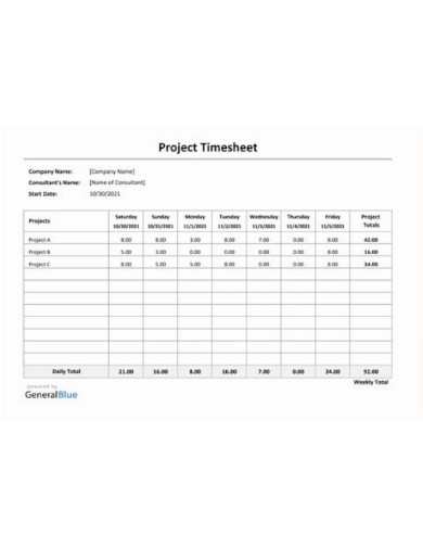 Daily Construction Project Management Timesheet