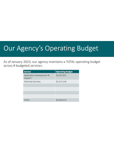 IT Budget Outline