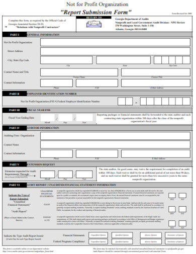 Nonprofit Audit Report Form