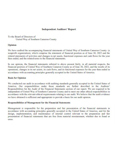 Nonprofit Audit Report Outline