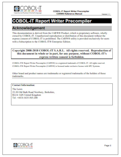 Printable IT Report