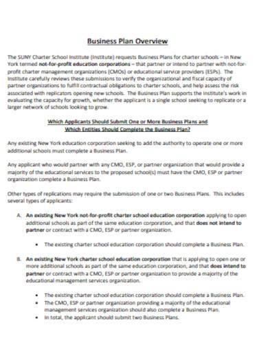 Special Education Business Plan Overview