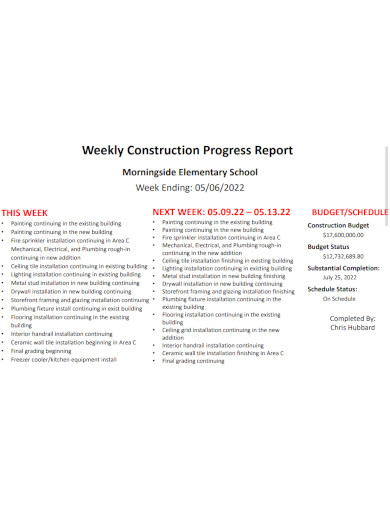 Standard Weekly Construction Report