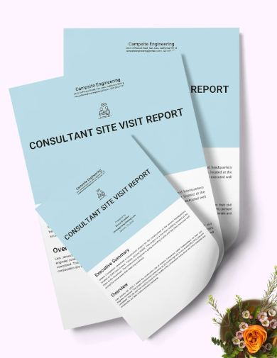 Consultation Site Visit Report Template