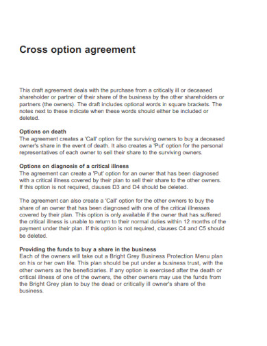 Cross Call Option Agreement