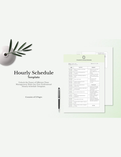 Free Hourly Schedule Template