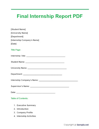 Final Internship Report PDF