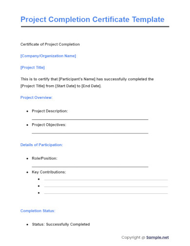 Project Completion Certificate Template