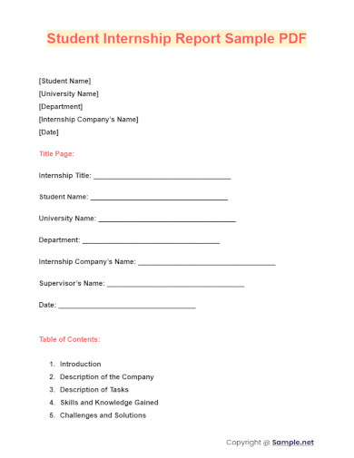 Student Internship Report Sample PDF