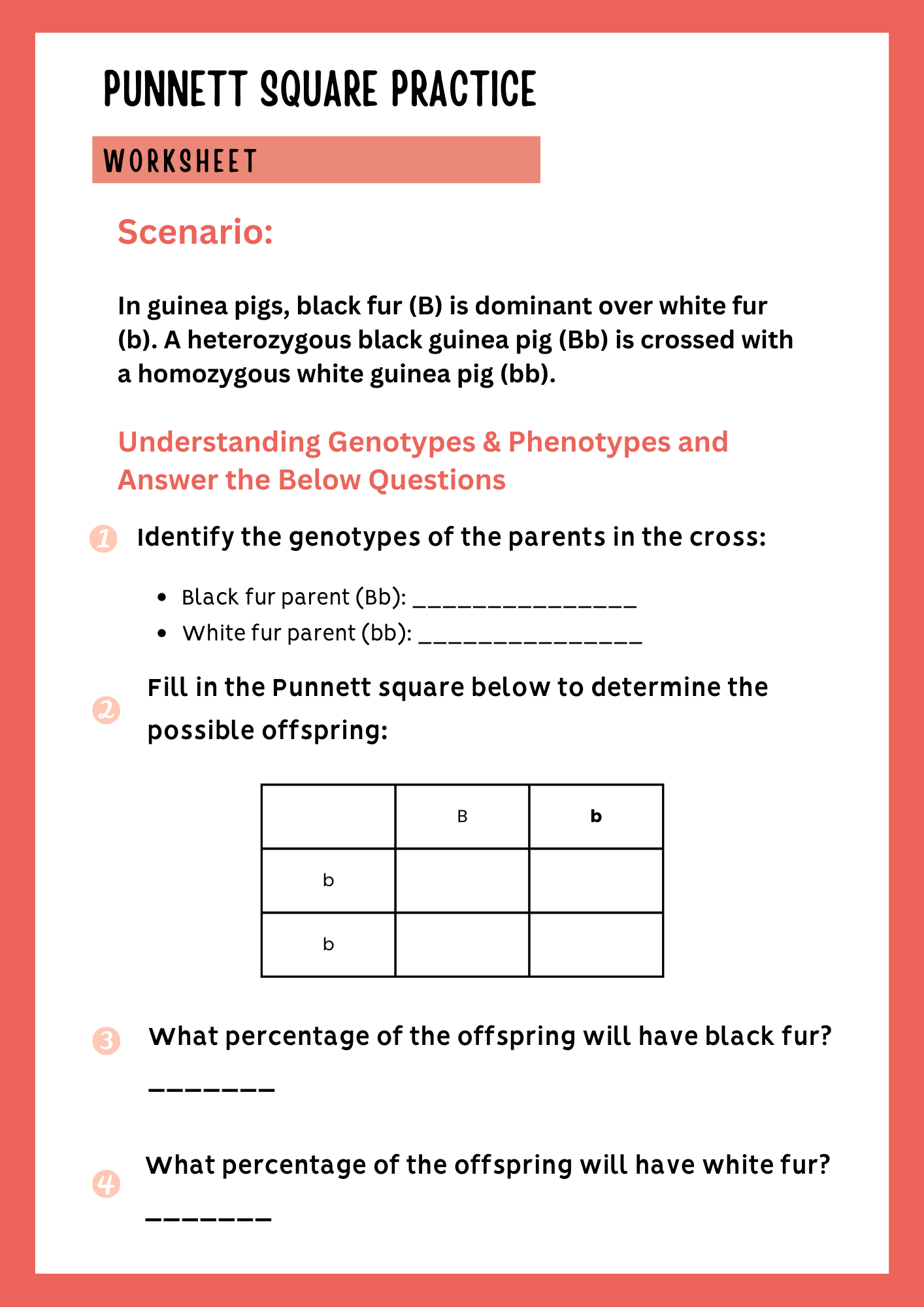 8th Grade Punnett Square Practice Worksheet