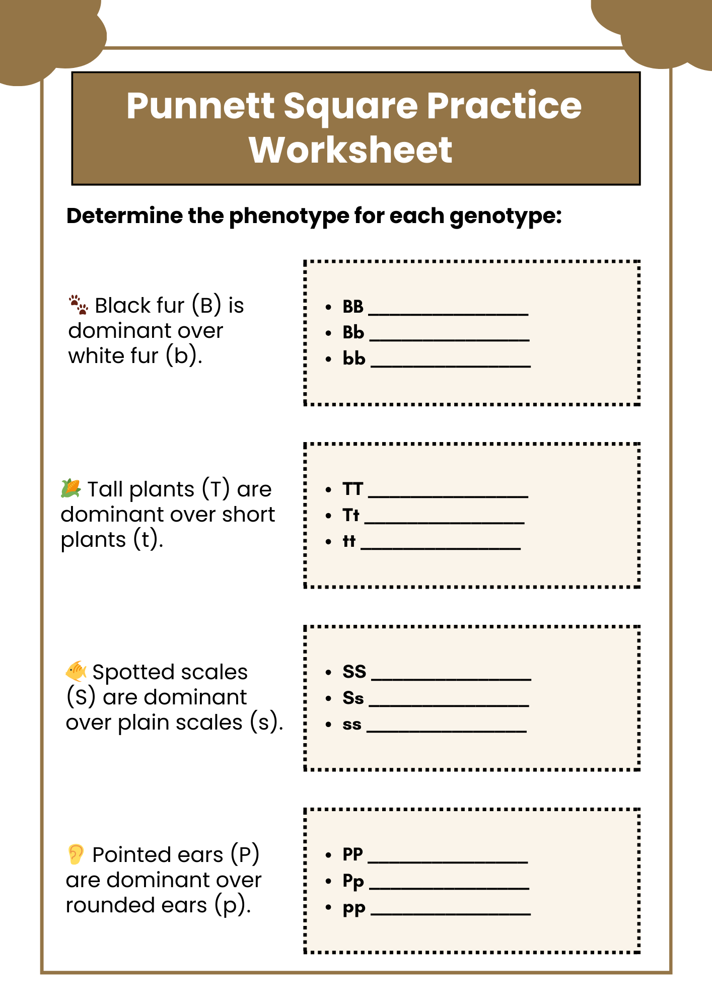 Biology Punnett Square Practice Worksheet