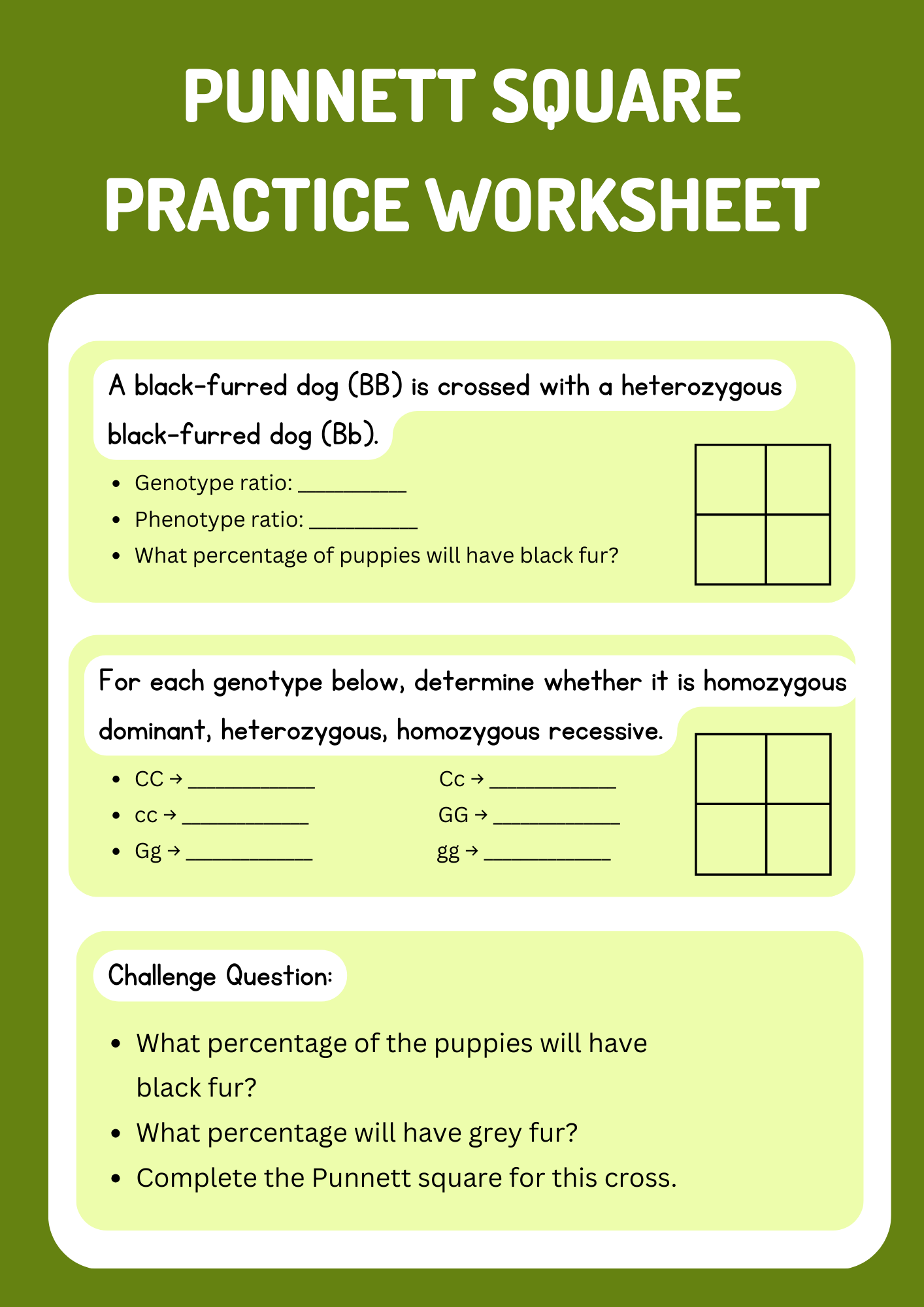 Black Fur Punnett Square Practice Worksheet