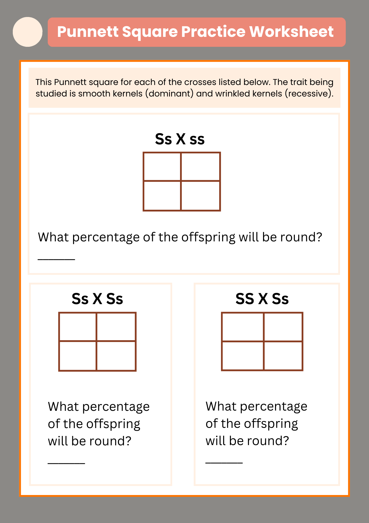 Genetic Punnett Square Practice Worksheet