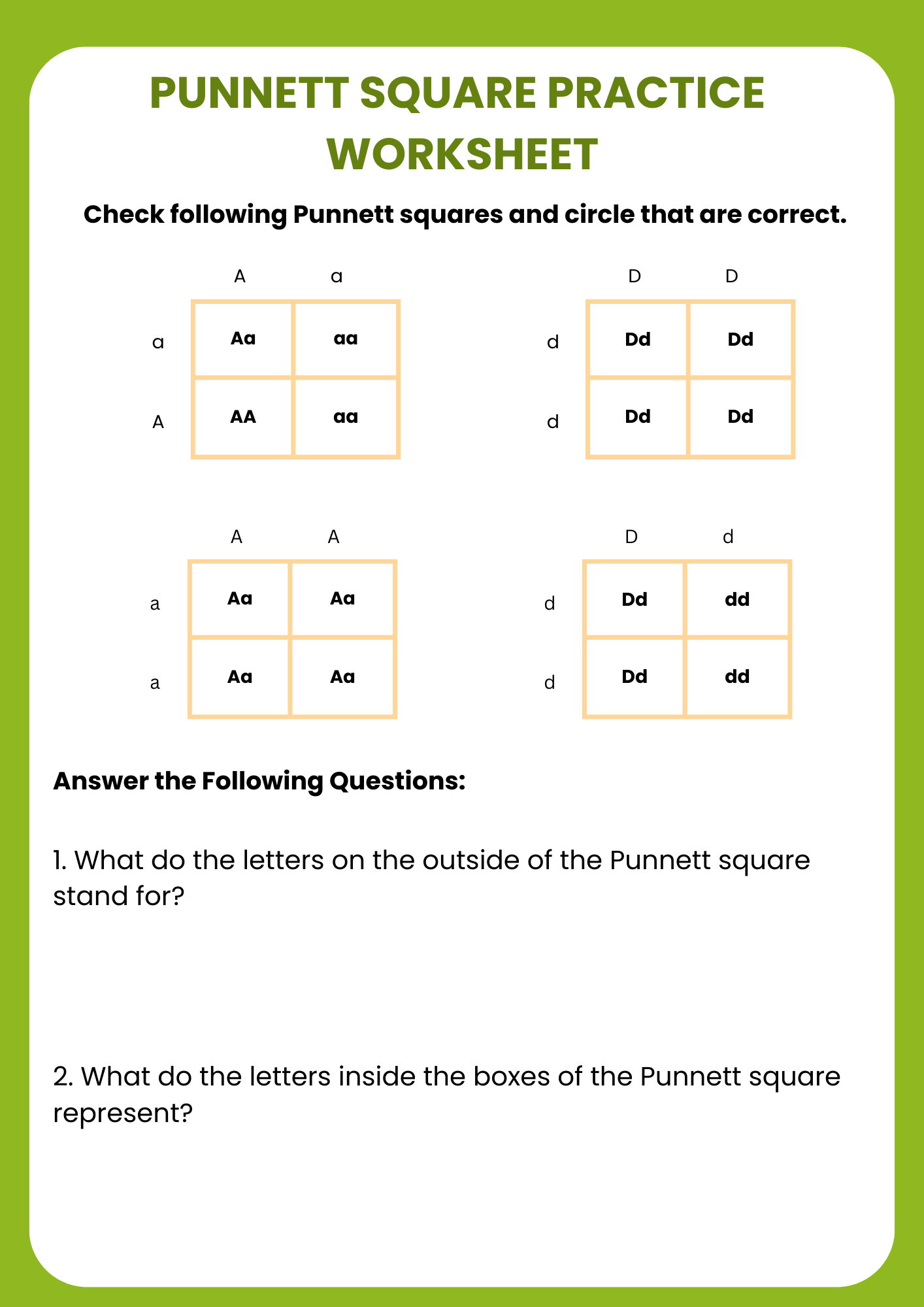 Middle School Punnett Square Practice Worksheet