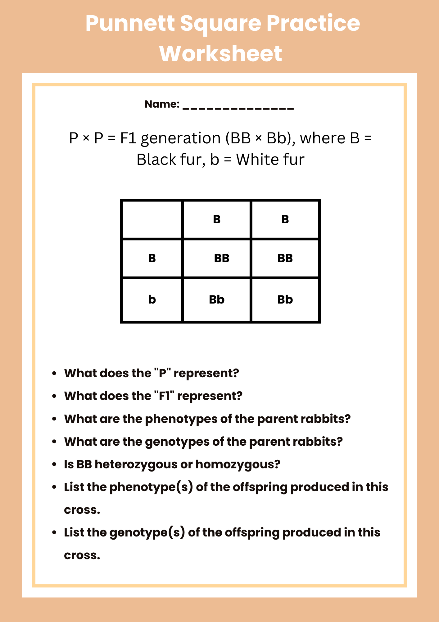 More Punnett Square Practice Worksheet