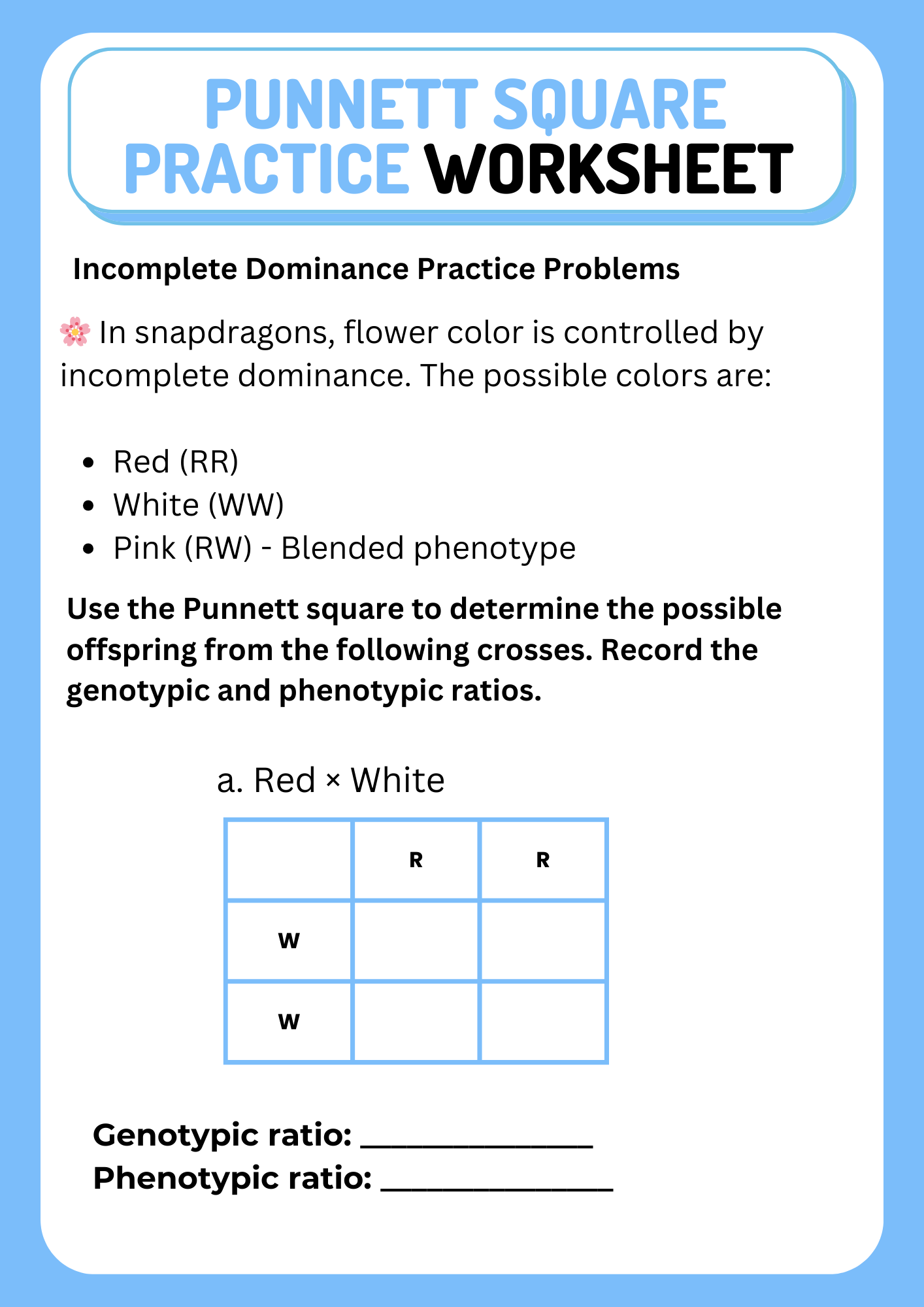 Non Mendelian Punnett Square Practice Worksheet