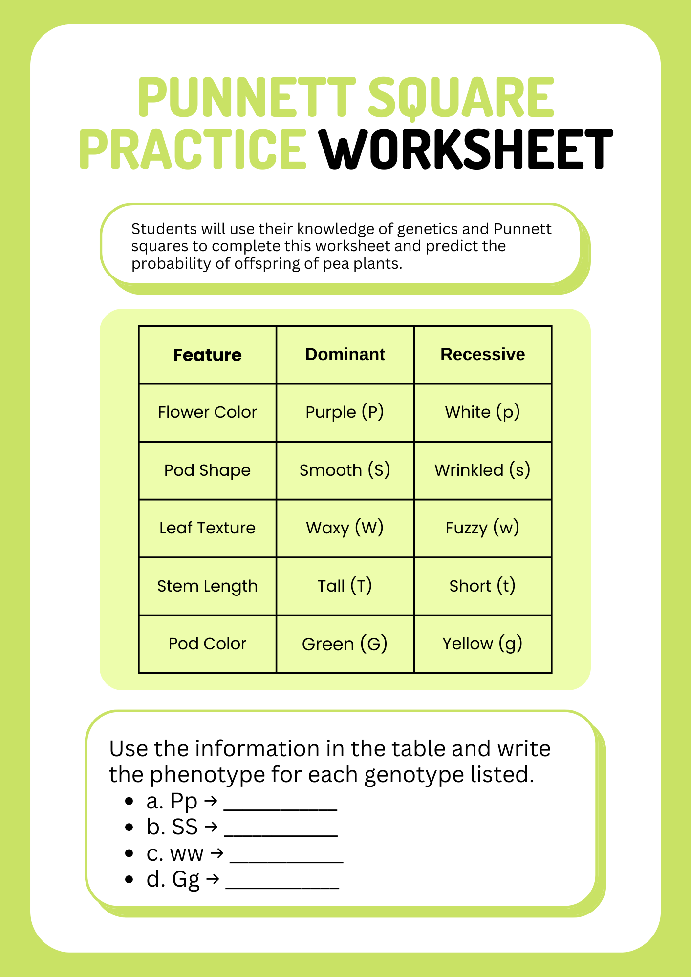 Pea Plant Punnett Square Practice Worksheet