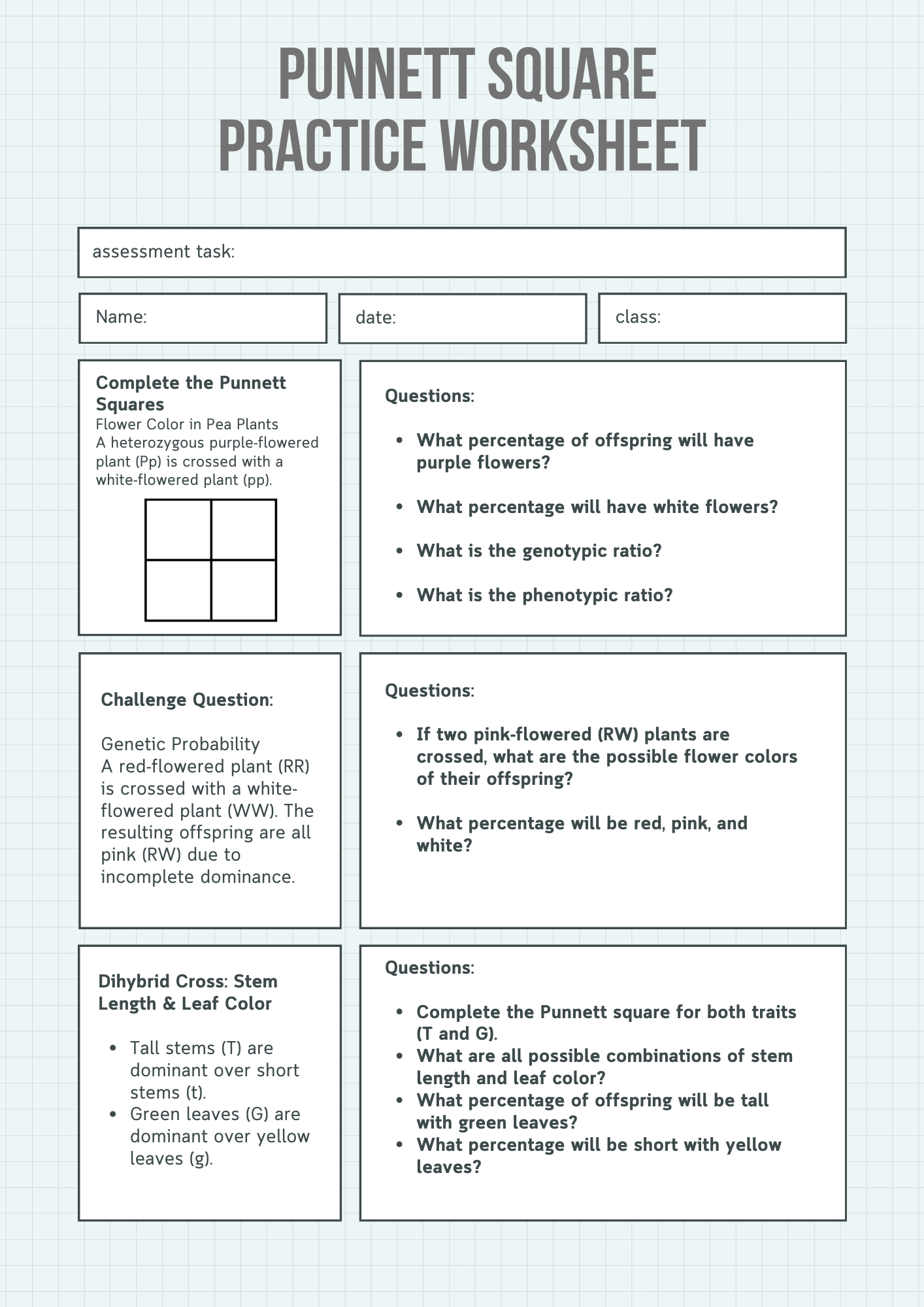 Plant Based Punnett Square Practice Worksheet