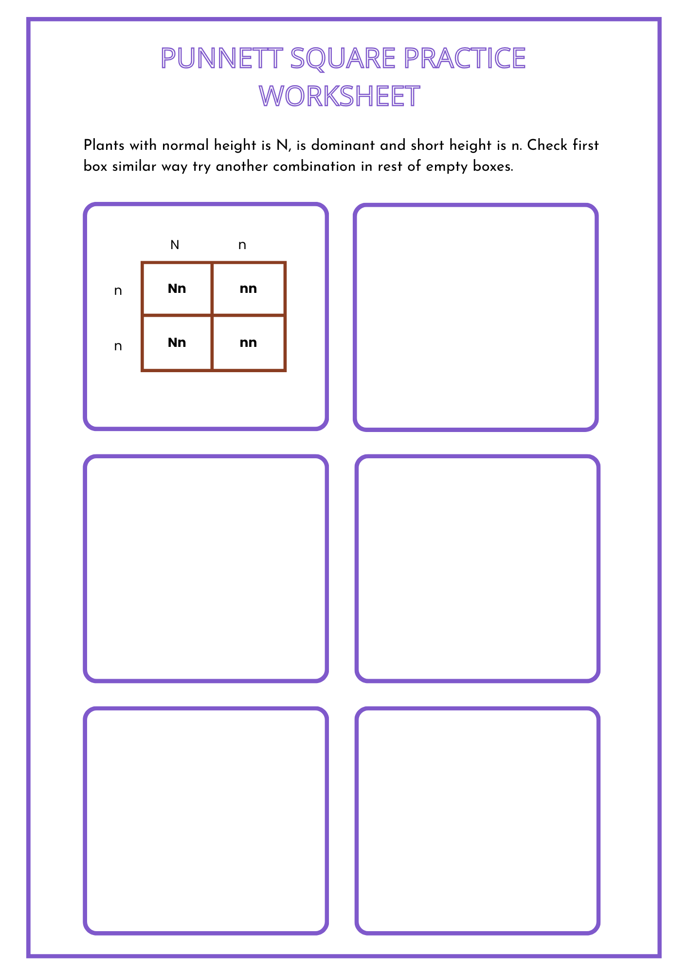 Printable Punnett Square Practice Worksheet