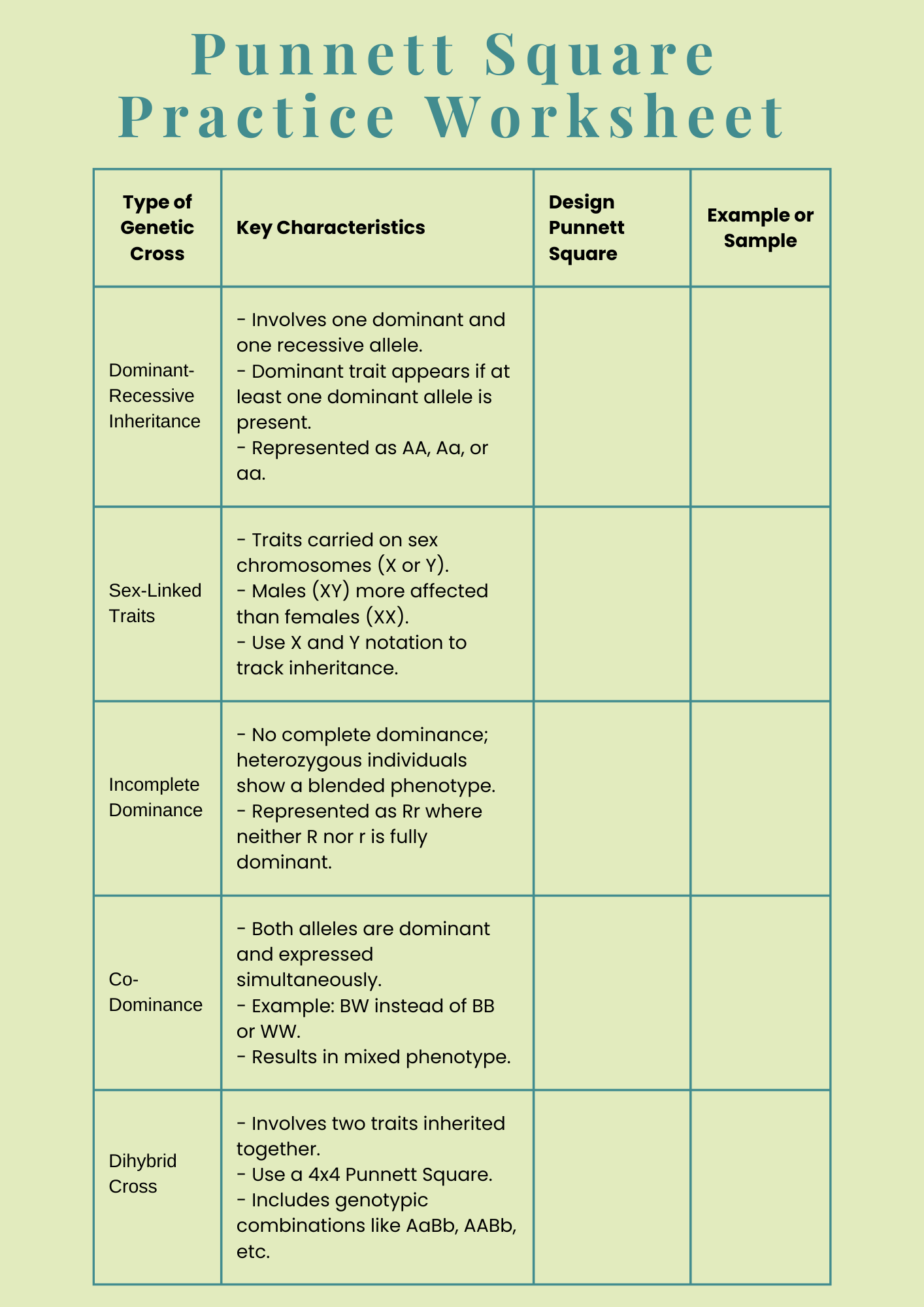 Punnett Square Cheat Sheet Practice Worksheet 