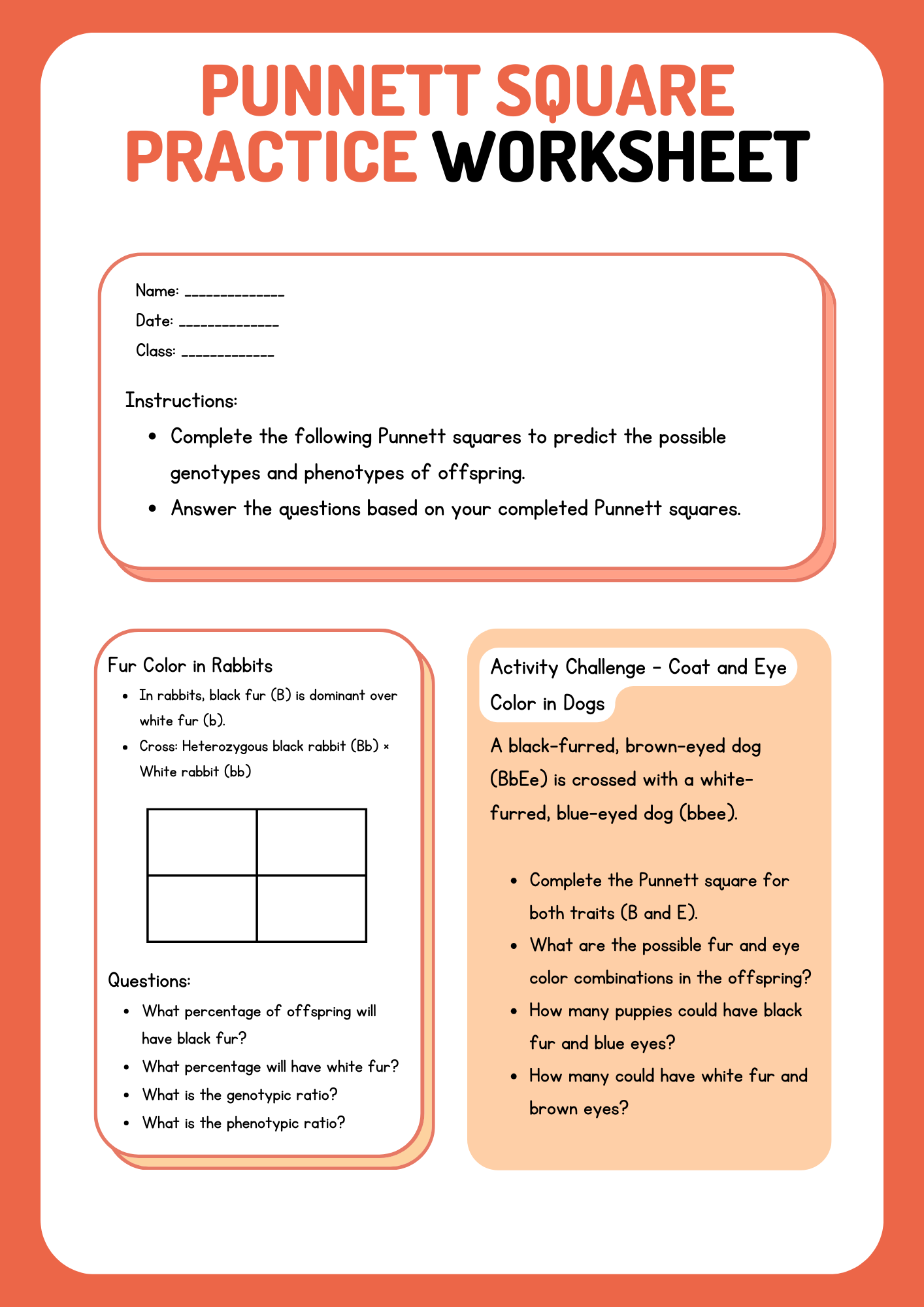 Punnett Square Practice Activity Worksheet