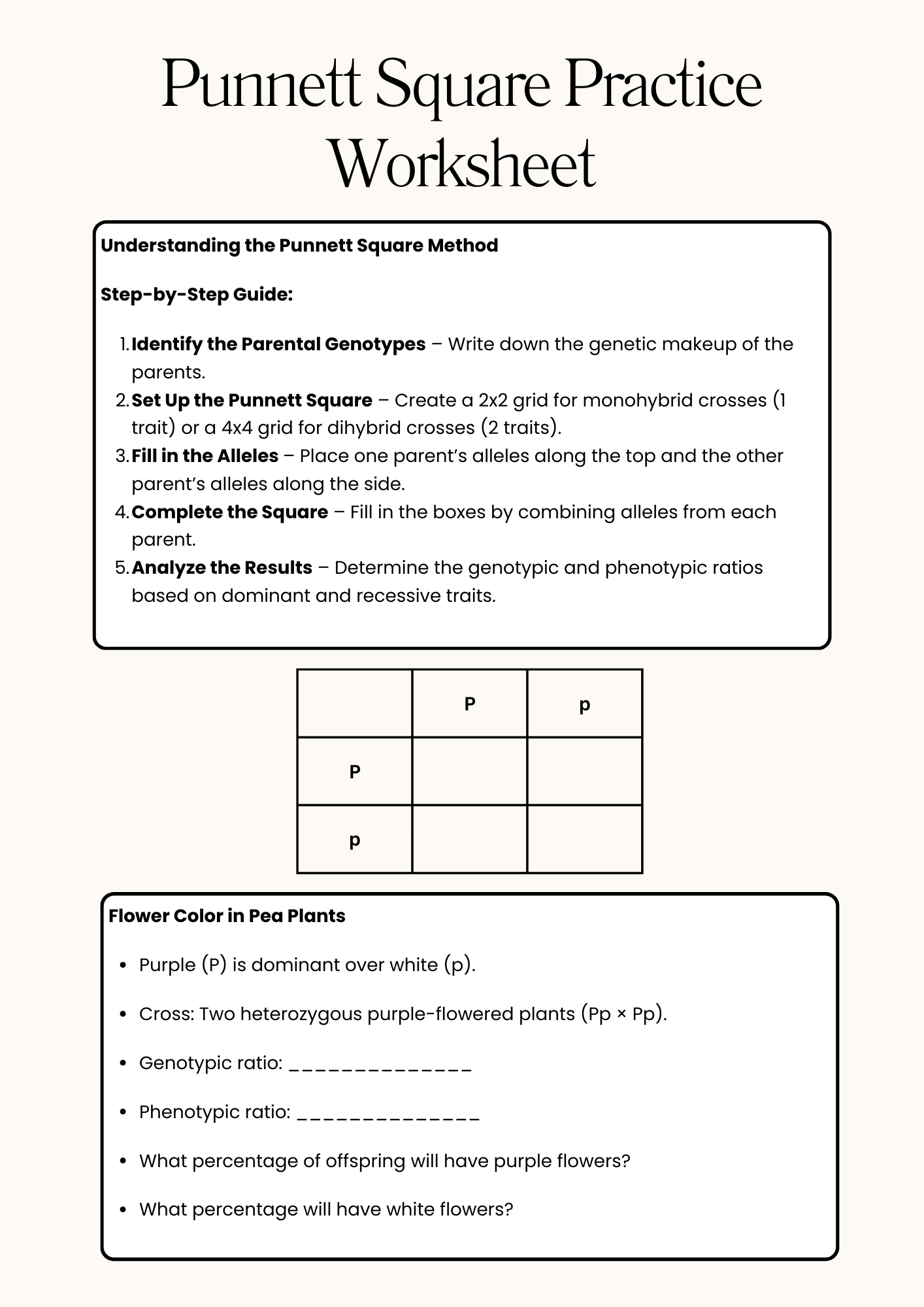 Punnett Square Practice Method Worksheet