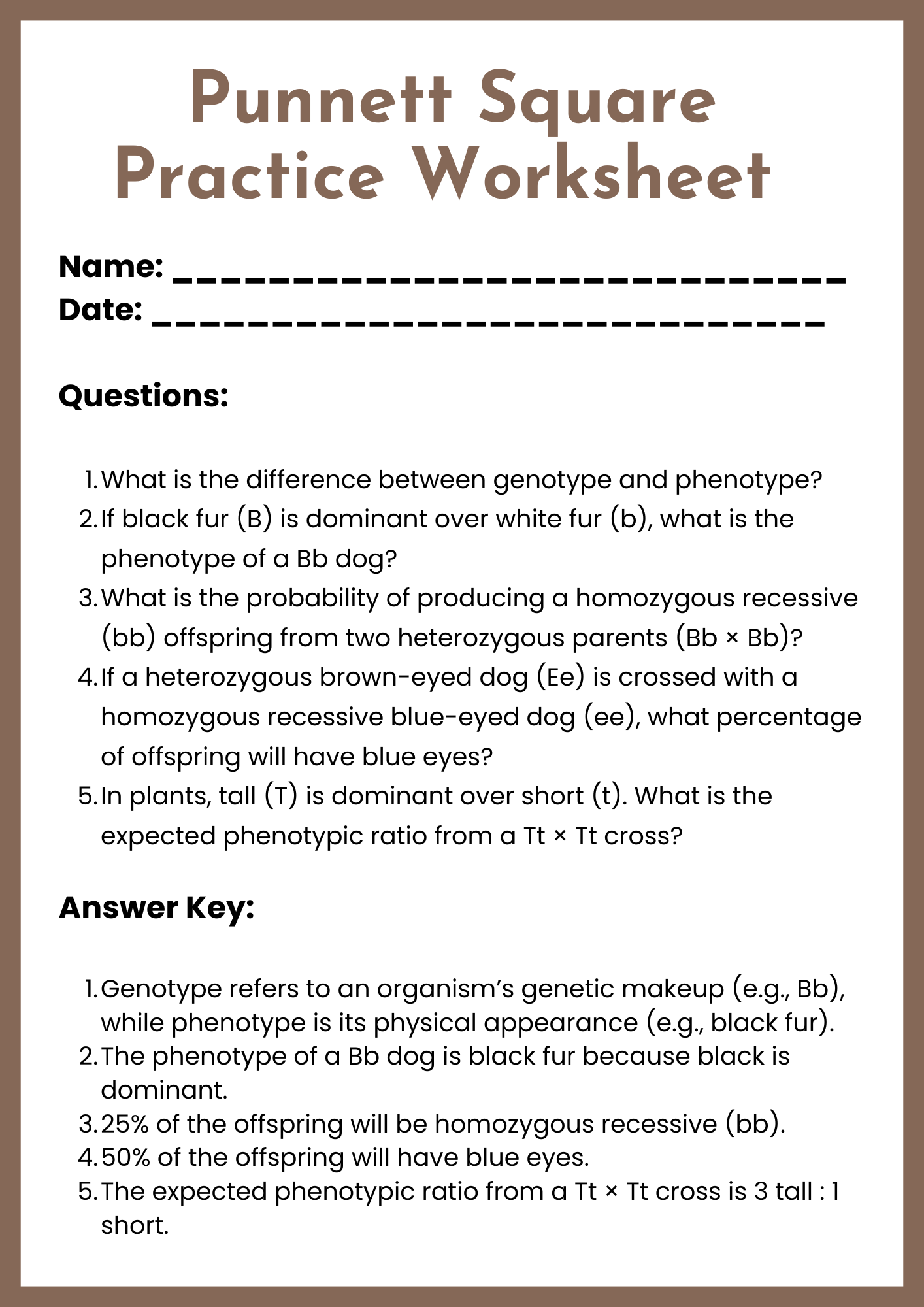 Punnett Square Practice Worksheet Answer Key