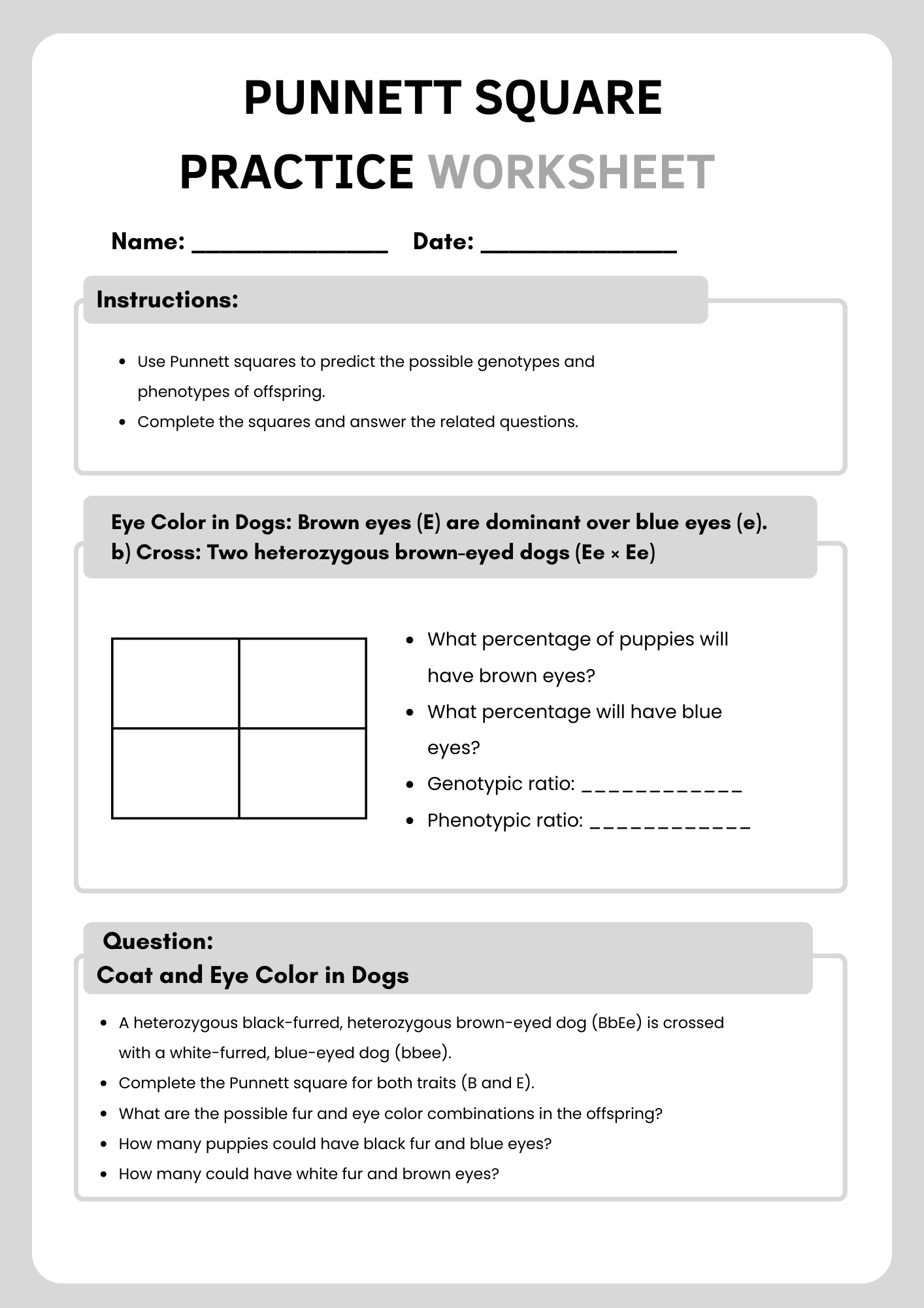 Punnett Square Practice Worksheet Model