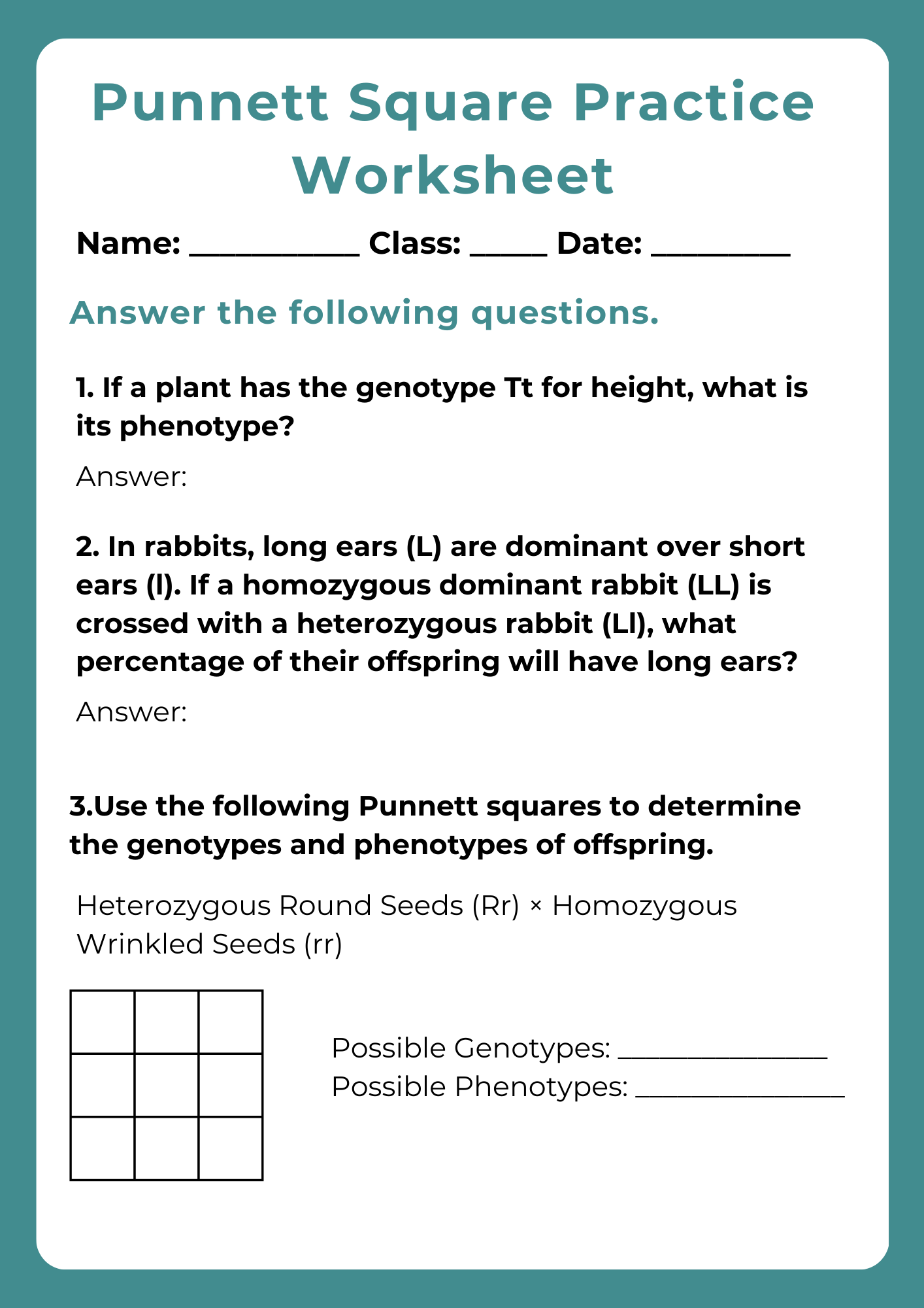 Punnett Square Practice Worksheet PDF