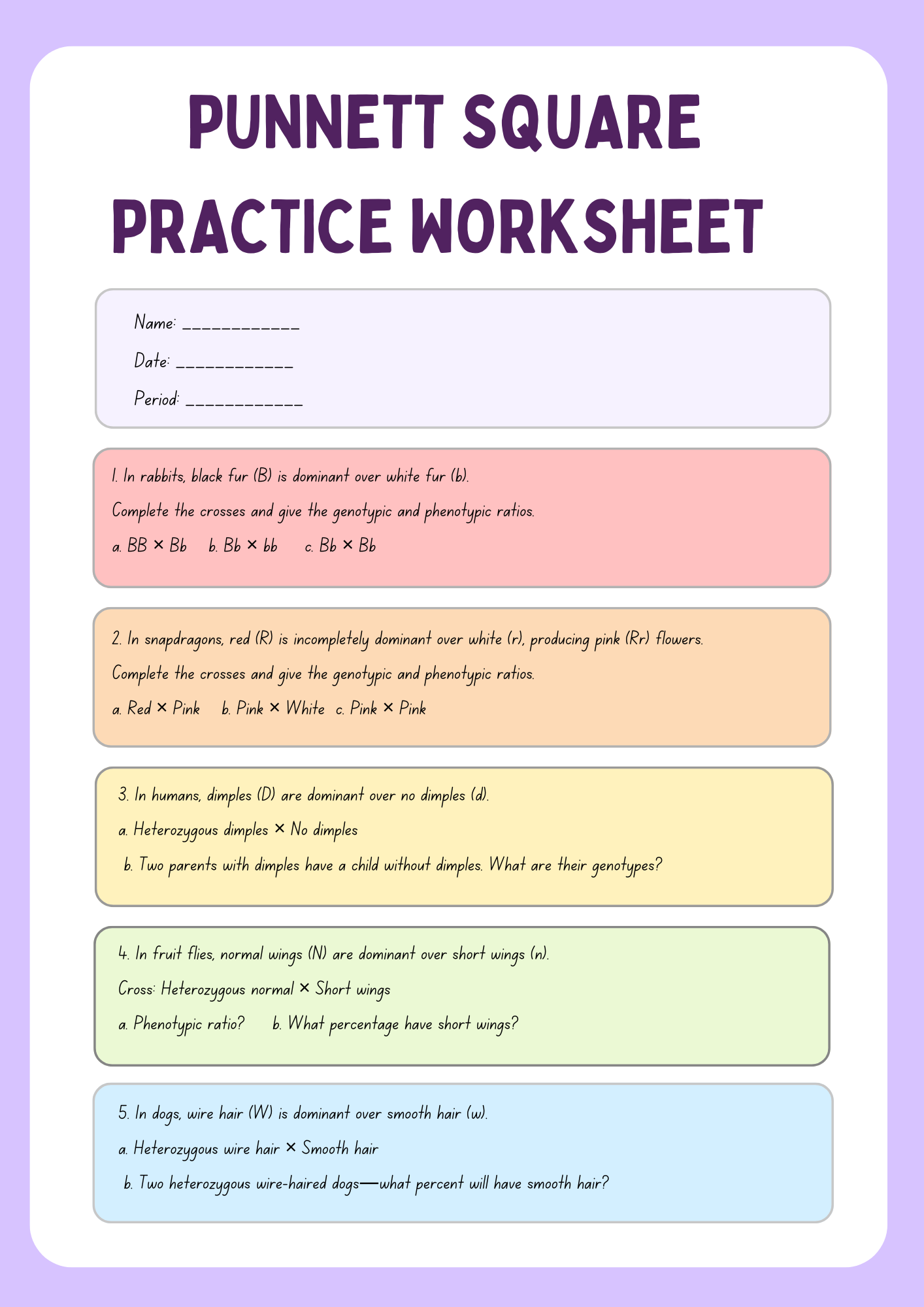 Punnett Square Practice Worksheet Review