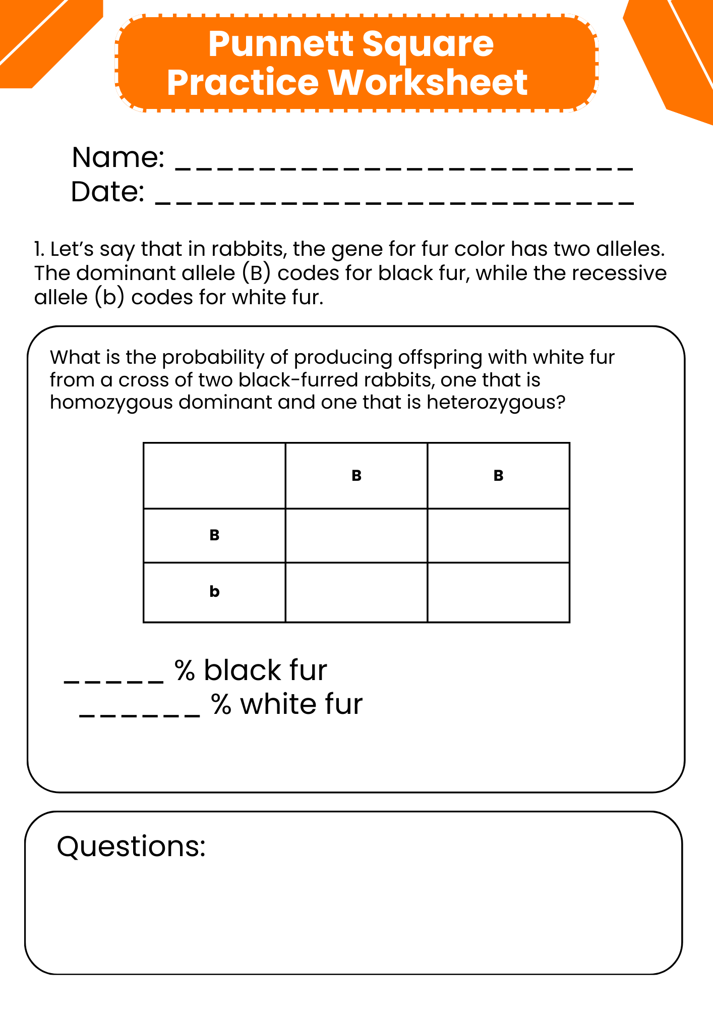 Punnett Square Practice Worksheet Template