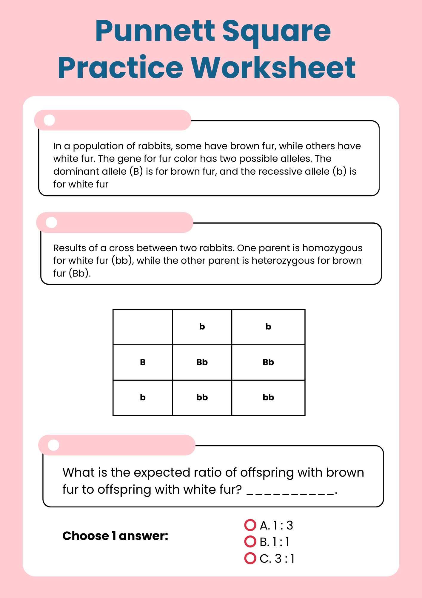 Punnett Square Practice Worksheet Vocabulary